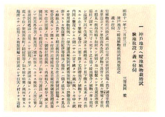 documnet