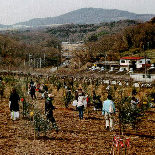 festival