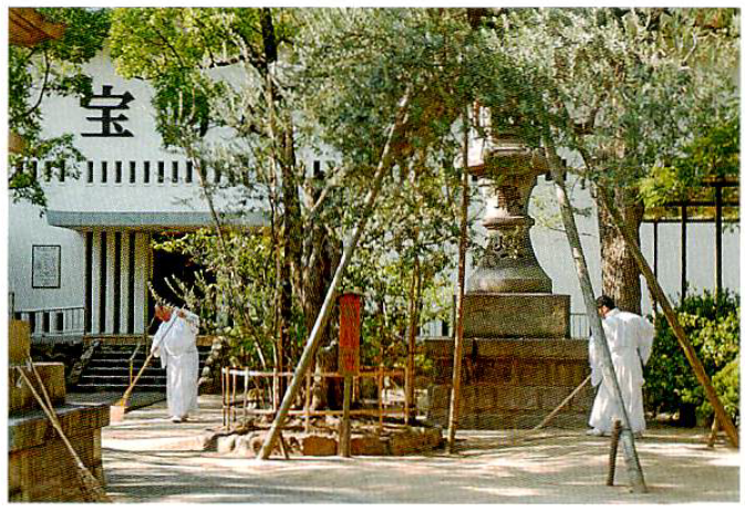 nankoh-san